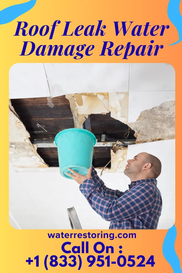 Roof Leak Water Damage Repair in Edmonton, KY