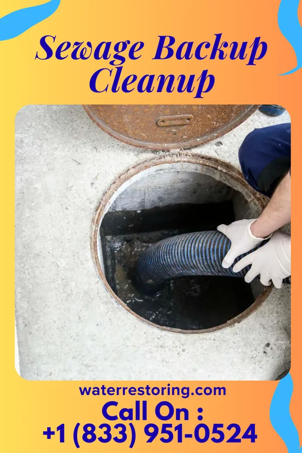 Sewage Backup Cleanup in Edmonton, KY