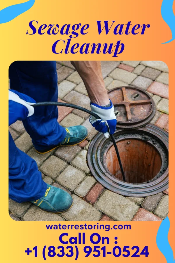 Sewage Water Cleanup in Edmonton, KY